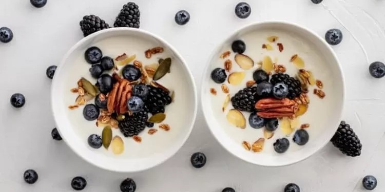 Pilihan Makanan Probiotik Terbaik Untuk Menjaga Kesehatan Pencernaan