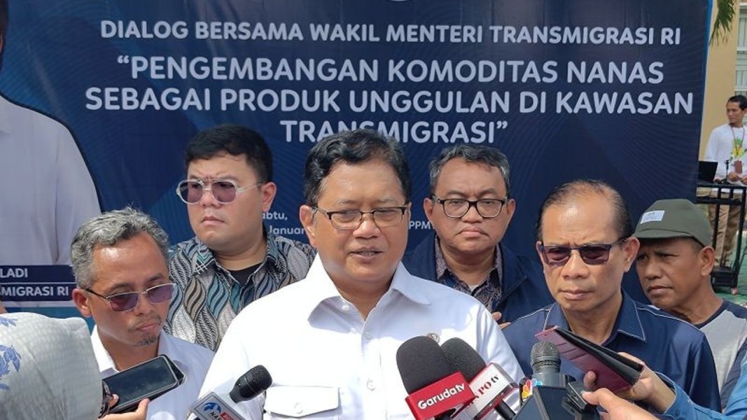 Transmigrasi Jadi Andalan Swasembada Pangan Nasional dari Karbohidrat hingga Protein Hewani