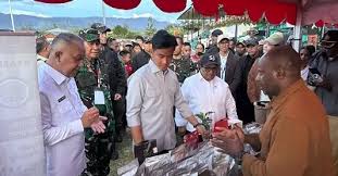 Prioritas Pembangunan Papua Pegunungan, Wapres Pastikan Quick Wins