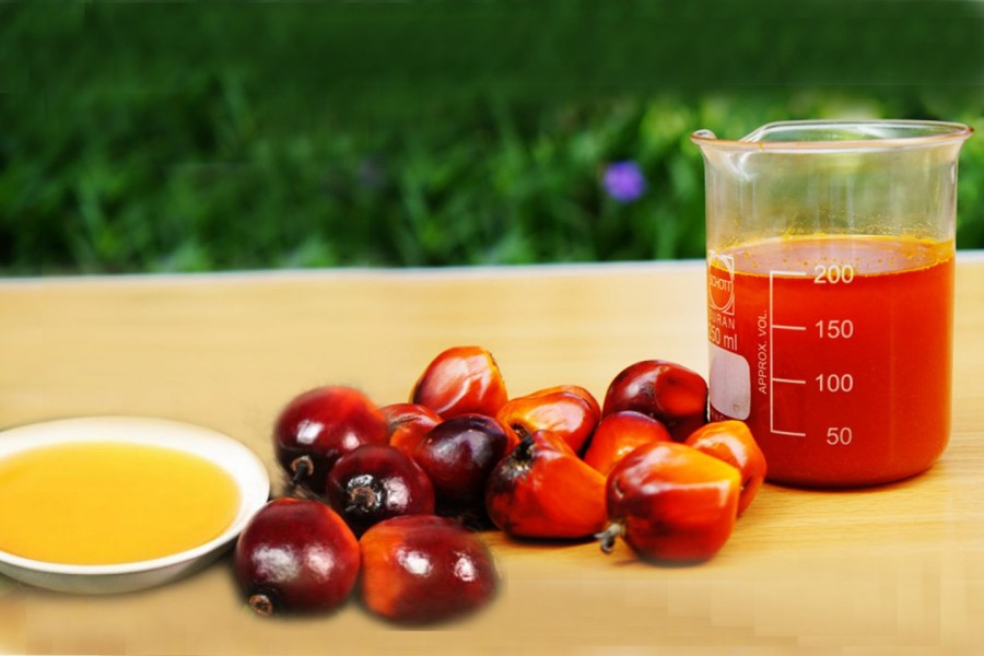 Harga Minyak Sawit Mentah Menguat Lagi, CPO Kembali Menarik Minat Pasar