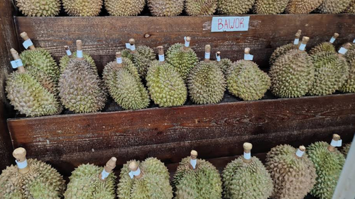 Rekomendasi Tempat Makan Durian Paling Lengkap di Jakarta untuk Pecinta Raja Buah