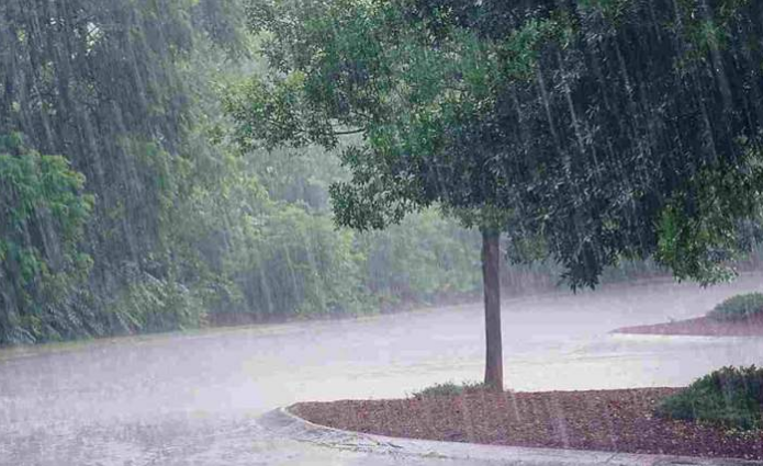 BMKG Peringatkan Warga Jabodetabek Hujan Lebat Kamis 20 November 2025