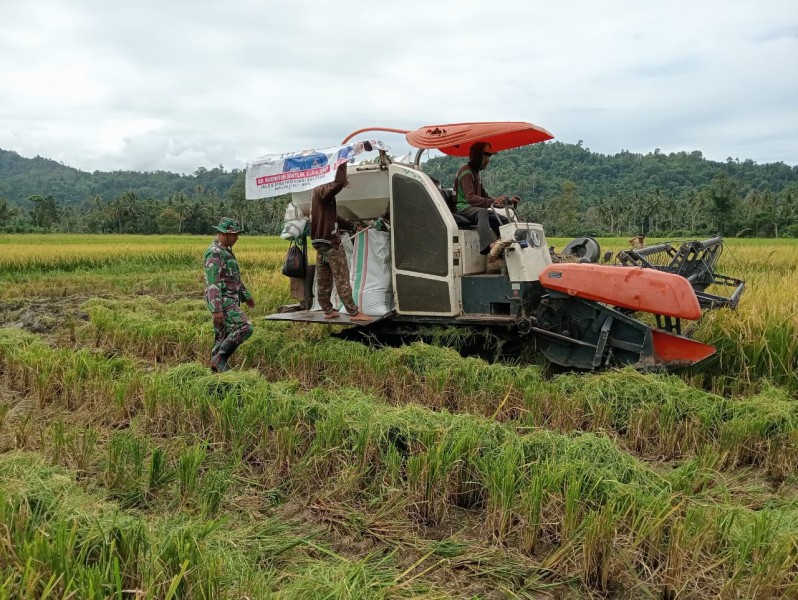 Petani Terbantu Inovasi Katrol Angkut Hasil Panen