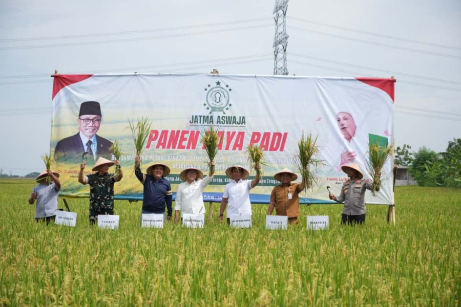 Pemerintah Janjikan Perbaikan Irigasi Tingkatkan Produksi Padi Petani Tegal