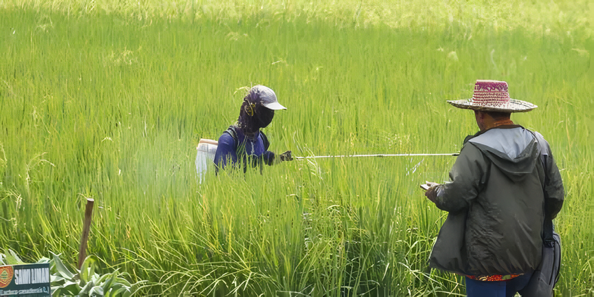 Petani Salatiga Maksimalkan Pompanisasi Hadapi Kemarau