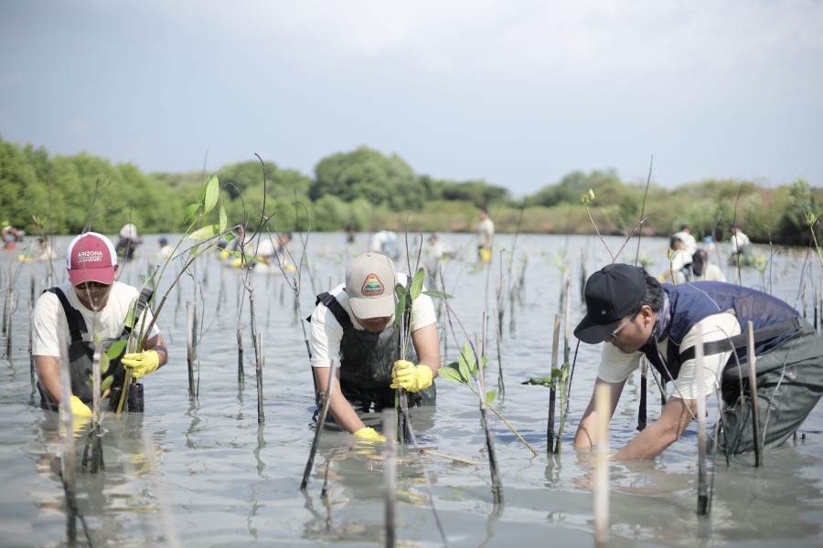 PT Freeport Indonesia Berkomitmen Melestarikan Ekosistem Pesisir dengan Menanam 50 Ribu Mangrove di Gresik