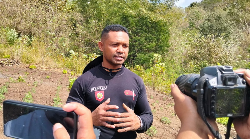 Kisah Bripka Nasrul, Sahabat Petani Yang Lestarikan Tomat Lahurus
