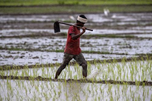 Petani Muda India Berani Ubah Sistem Tradisional, Raup Hampir Satu Miliar