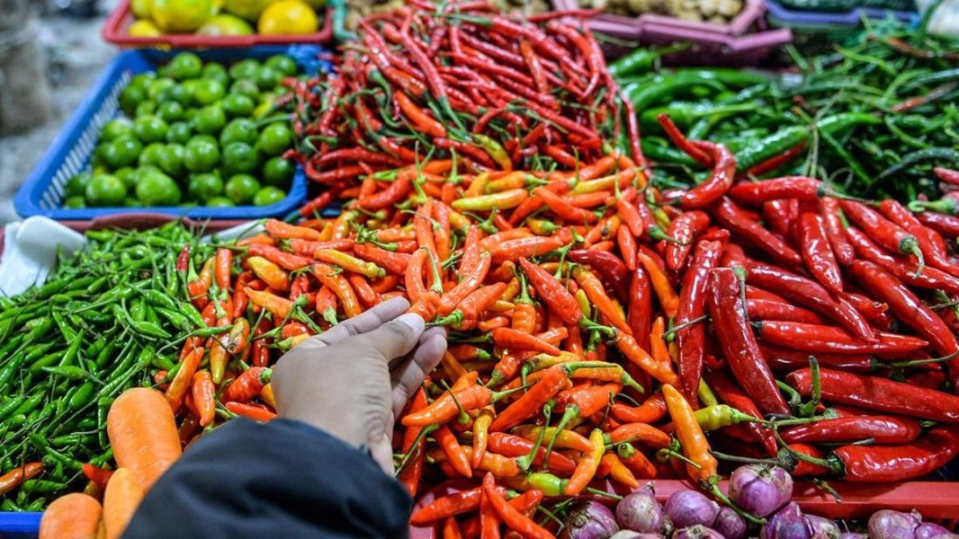 Laporan Harga Sembako Jatim 19 Februari 2026 Daging Bawang Dan Cabai Naik Serempak