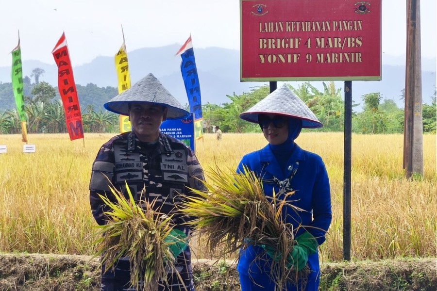 TNI Borong Padi di Desa Periangan Baru, Lampung Utara: Wujudkan Ketahanan Pangan dan Kebersamaan