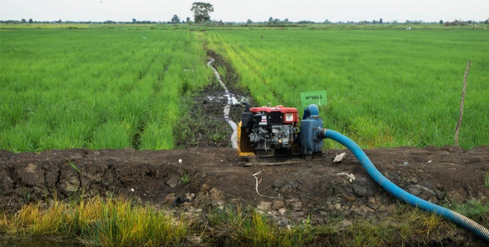 PLN UP3 Mojokerto Perkuat Ketahanan Pangan dengan Listrik Pompanisasi Sawah di Kediri
