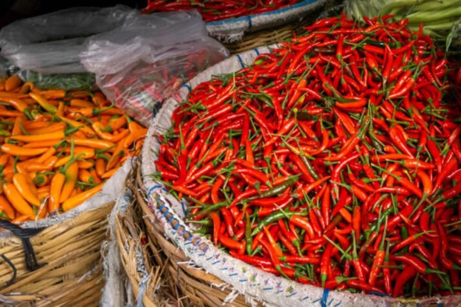 Harga Pangan Maluku Utara PIHPS Cabai Rawit Merah Tetap Rp120.000 Per Kilogram