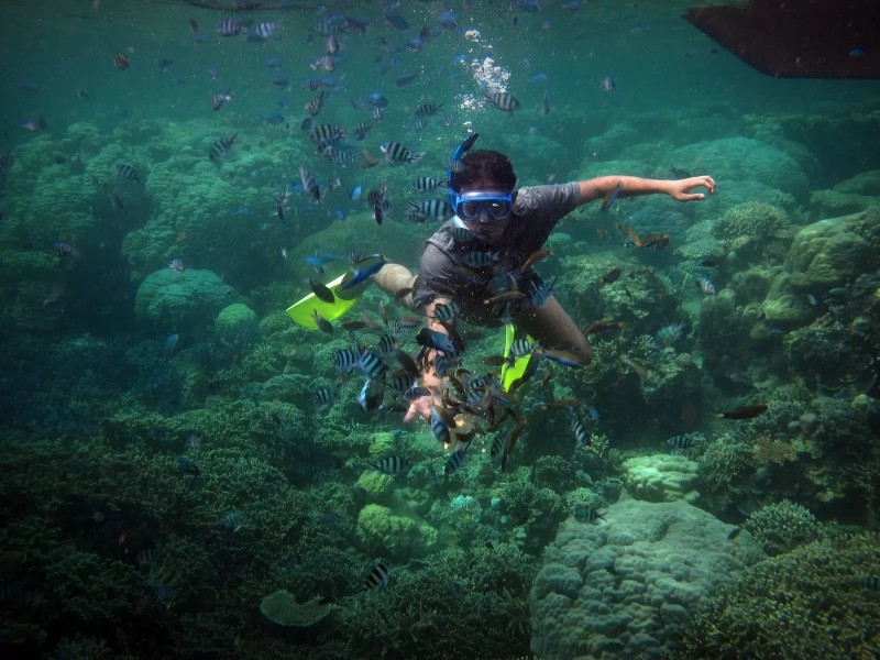 Selam Menjadi Hobi Seru untuk Mengeksplorasi Laut