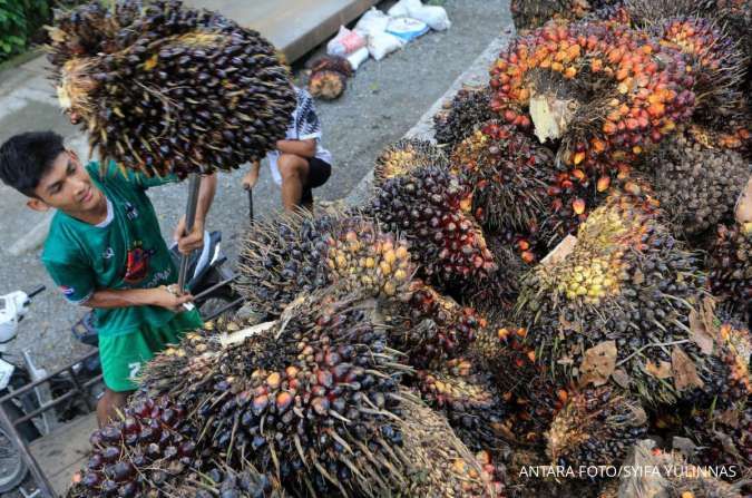 Indonesia Menang Sengketa Minyak Sawit Melawan Uni Eropa di WTO: Momen Penting untuk Perdagangan Global