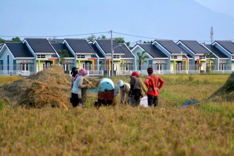 Pemerintah Perkuat Pengendalian Alih Fungsi Lahan Sawah untuk Ketahanan Pangan dan Pembangunan Perumahan Berkelanjutan