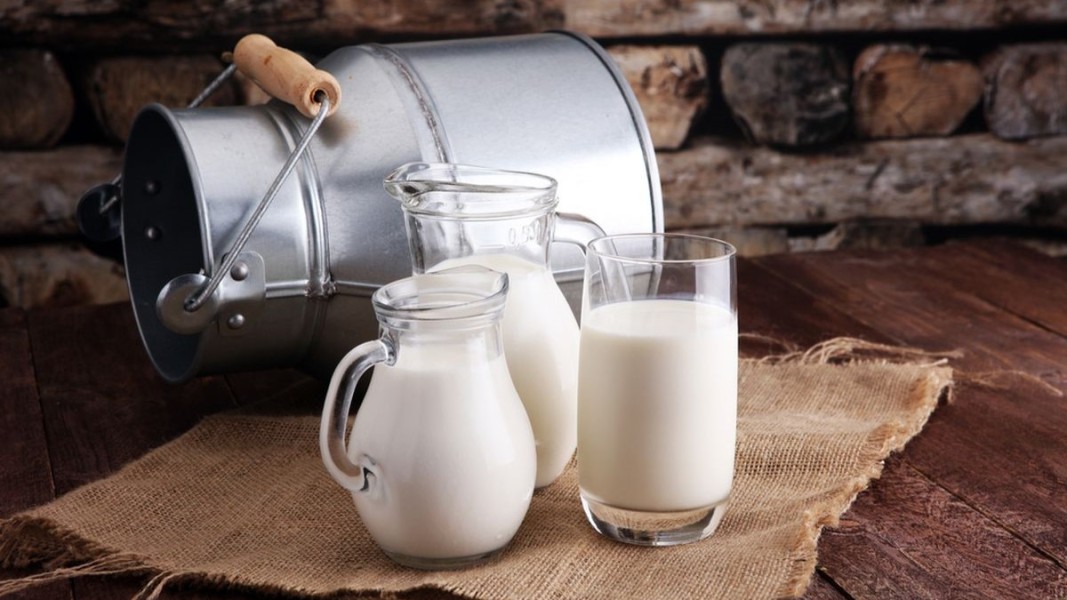 Alasan Ilmiah Susu Mentah Tidak Aman Dikonsumsi Masyarakat Umum