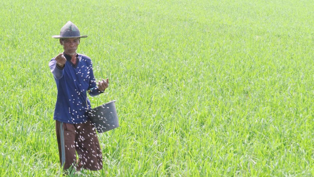 Pemerintah Permudah Akses Petani Terhadap Pupuk Subsidi Lewat Perpres Baru