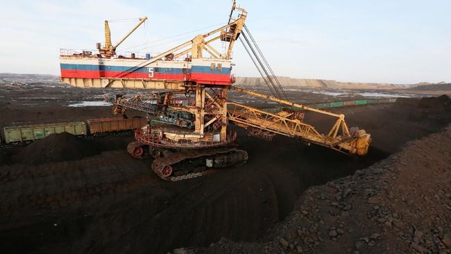 Harga Batu Bara Anjlok, Keputusan India Tidak Diwajibkan Impor Mempengaruhi Pasar