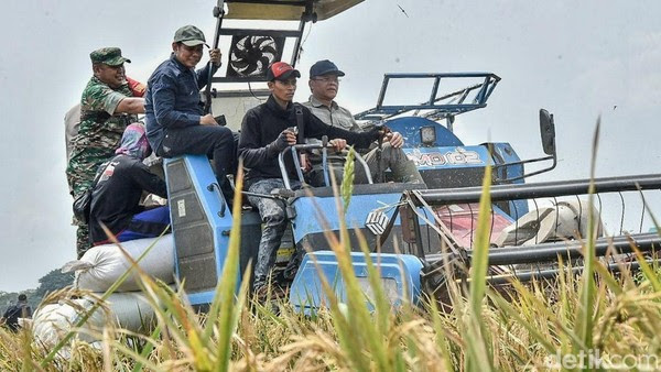 Petani Karawang Tekan Biaya Produksi Padi di Bawah Rp5 Juta dengan Pupuk Organik Hewani