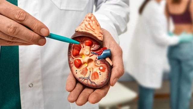 Dokter Sarankan Deteksi Ginjal Anak Lebih Dini