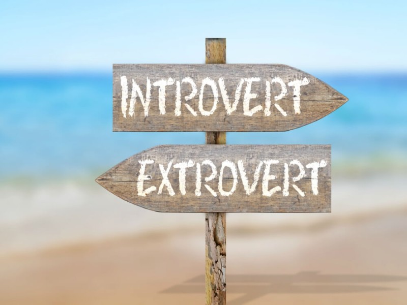 Perbedaan Introvert dan Ekstrovert yang Penting Dipahami