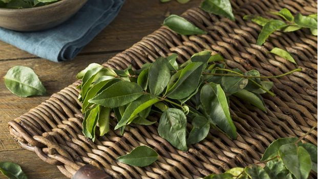 Khasiat Mandi Air Daun Salam, Bikin Kulit Makin Lembap dan Sehat