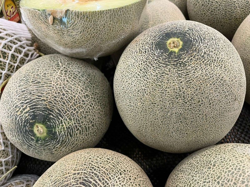 Petani Milenial Kembangkan Inovasi Budidaya Melon Hidroponik Di Tengah Kawasan Perumahan