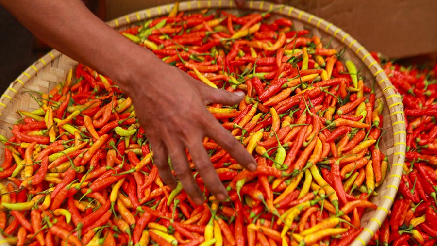 Harga Pangan Nasional Cabai Rawit Merah Tembus Rp83.150 per Kilogram