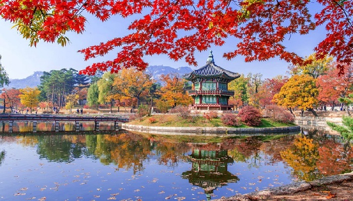 Musim Gugur Korea Selatan: Diskon Wisata dan Destinasi Rahasia