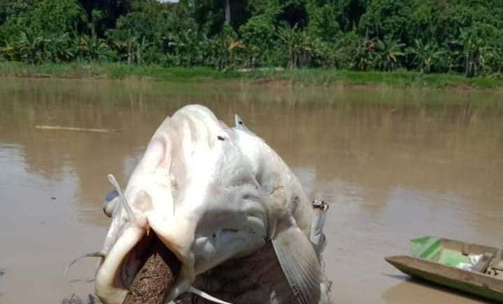 Dinas Perkim LH Batubara Panggil Pengusaha Terkait Dugaan Pencemaran Sungai Bahapal