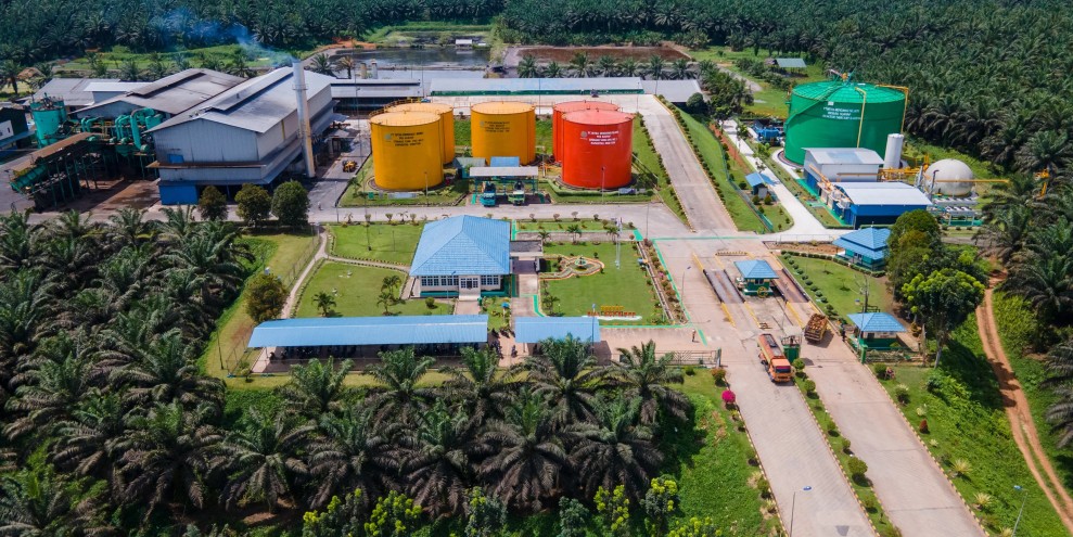 Laba SSMS Rp1,16 Triliun Melonjak Kinerja Semakin Kuat