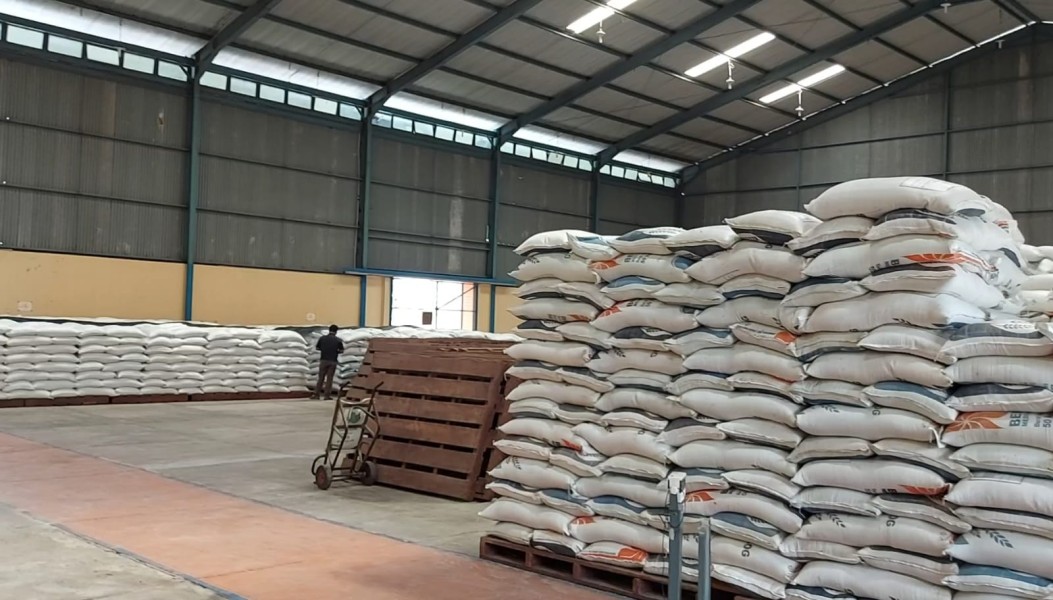 Bulog Merauke Optimalkan Penyerapan Beras Dukung Pertanian Papua Selatan