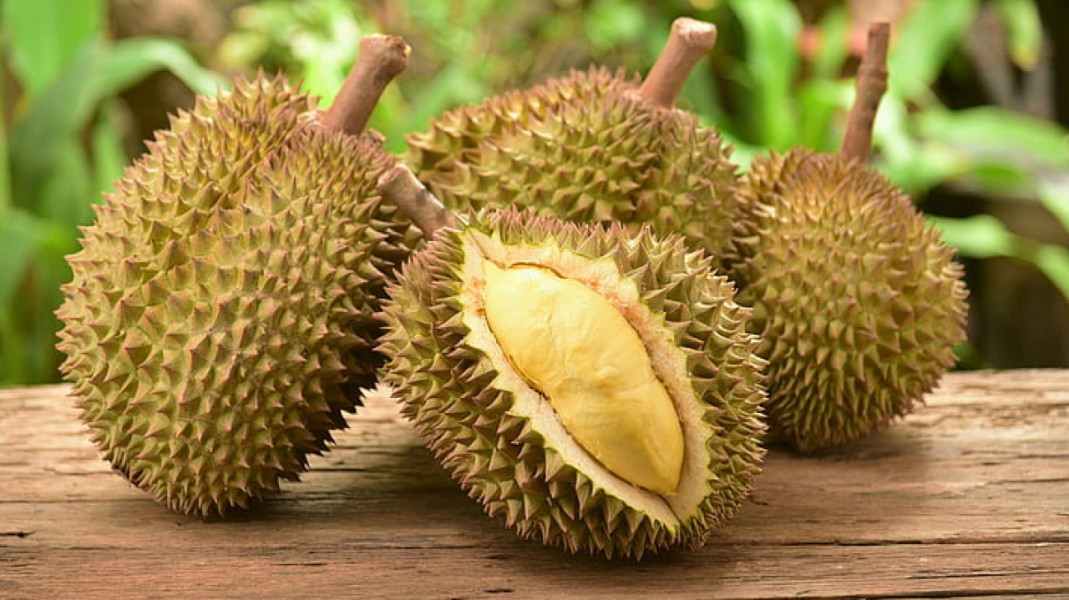 Durian Lagi Musim, Ini Pantangan Makanan Pendamping yang Wajib Kamu Tahu