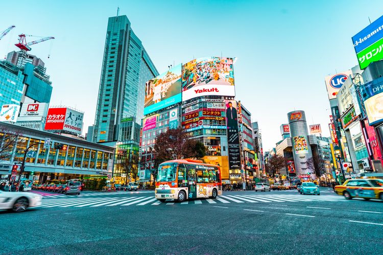6 Barang yang Tidak Boleh Dibawa Saat ke Jepang