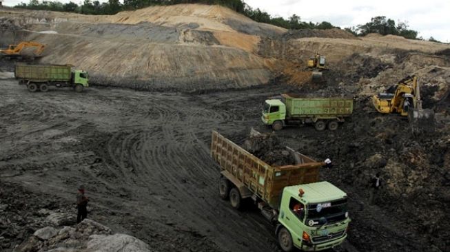 Dinas Kehutanan Kaltim Bentuk Tim Khusus Berantas Tambang Batu Bara Ilegal di Jalan Poros Bontang-Samarinda