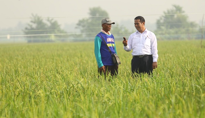 Mentan Amran Tekankan Pentingnya Data Akurat Sebagai Dasar Bantuan Petani Miskin