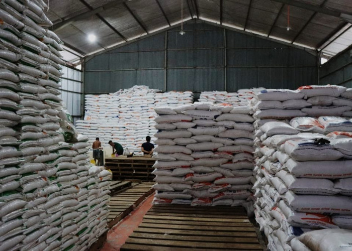 Stok Beras Bulog Bengkulu Utara Dipastikan Aman Sampai Lebaran 2026