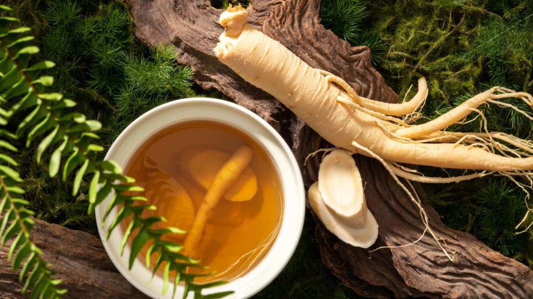 Herbal Alami Dapat Membantu Penderita Diabetes Mengontrol Gula Darah Secara Alami