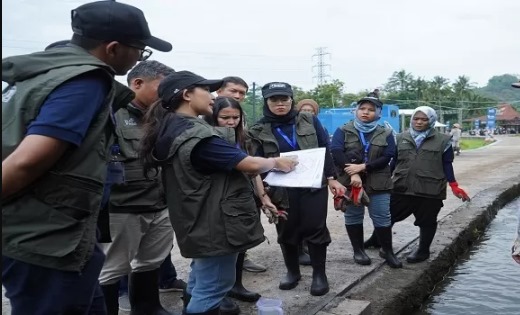 Inovasi Energi Bersih, PLN Dorong Pemanfaatan Energi Terbarukan di Desa Polosiri