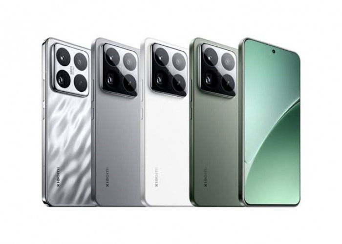 Melihat Daftar Harga Terbaru HP Xiaomi dan POCO Februari 2026: Strategi Belanja Gadget Performa Tinggi