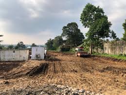 Dinas Pekerjaan Umum Pangkas Pohon di Sekitar Proyek Tol Cisuka Seksi 3 untuk Cegah Risiko Bencana