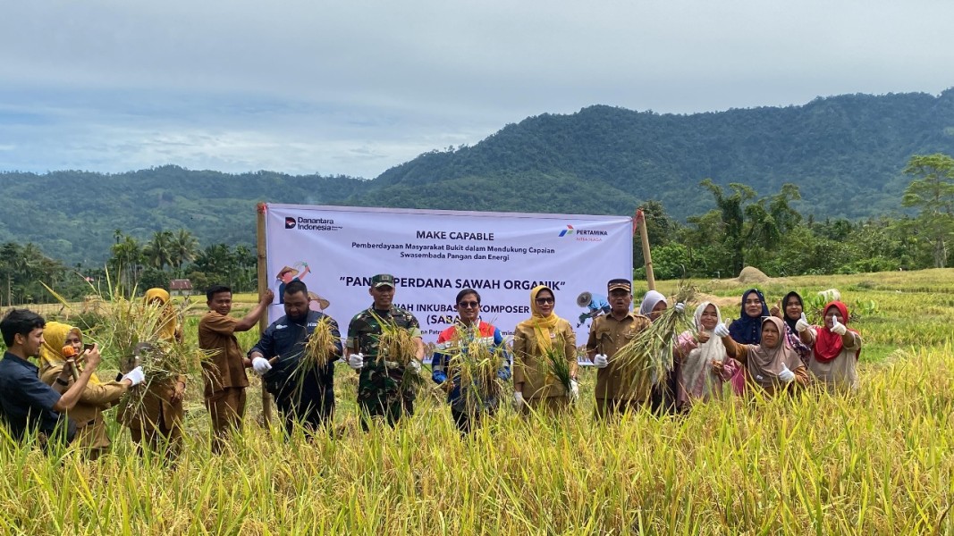Sawah Inkubasi Pertamina Tingkatkan Hasil Panen Petani