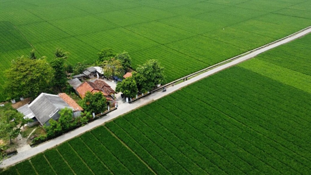 Pemkab Bekasi Reorientasi Tata Ruang, Lahan Perumahan Dikonversi Jadi Sawah