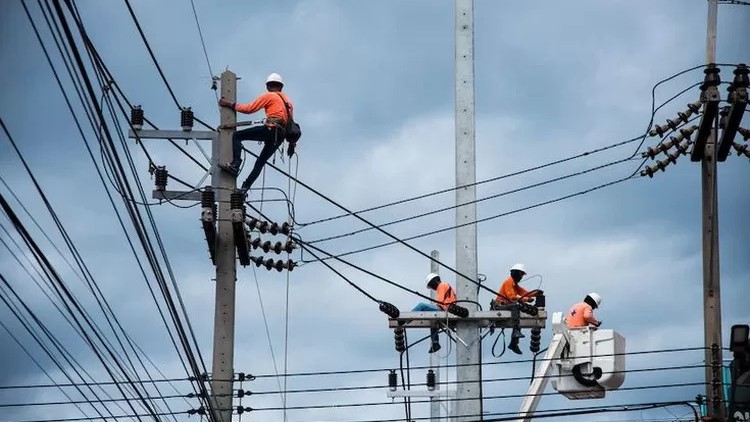 Pemeliharaan Jaringan Listrik PLN Nabire Menuju Layanan Stabil