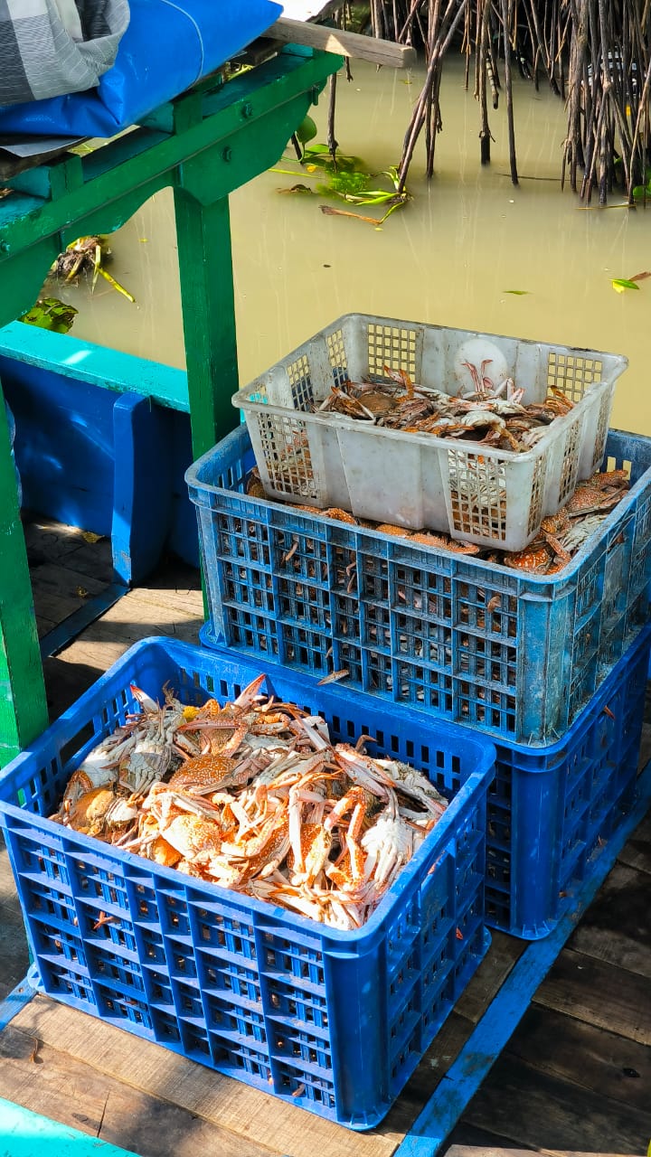 PLN UIP2B Jamali Gerakkan Transformasi Energi Bersih untuk Menjawab Tantangan Energi di Komunitas Maritim