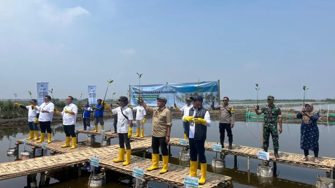 215 Ribu Mangrove Ditanam, Wujudkan Pelabuhan Ramah Lingkungan