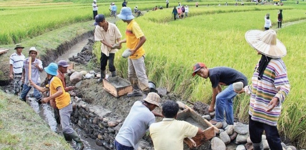 Infrastruktur Pertanian Jadi Kunci Pemerataan Distribusi Pangan Berkualitas