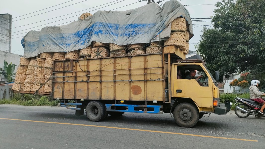 Kecelakaan Maut di Jalinsum: Truk Logistik dan Truk Sayur Alami Tabrakan Hebat