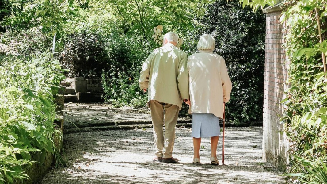 9 Hobi Lansia yang Terbukti Menjaga Otak Tetap Tajam dan Tubuh Lebih Bugar di Usia Senja