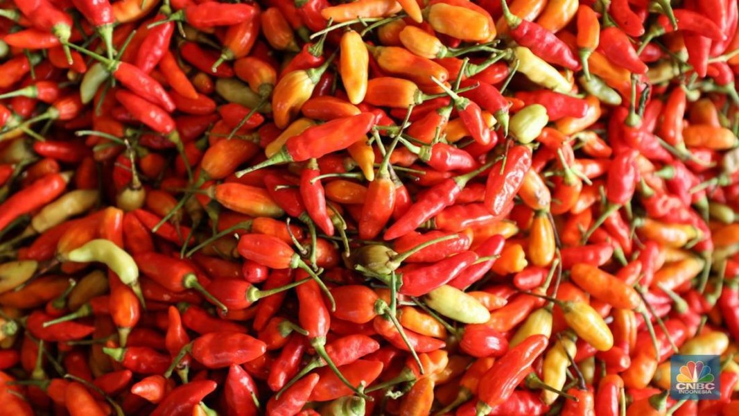 PIHPS Hari Ini: Harga Cabai Rawit Merah dan Telur Naik